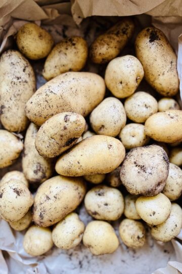 じゃがいものコンパニオンプランツ