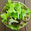 リーフレタス