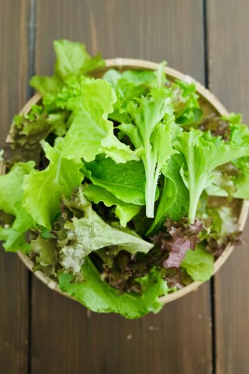 リーフレタス