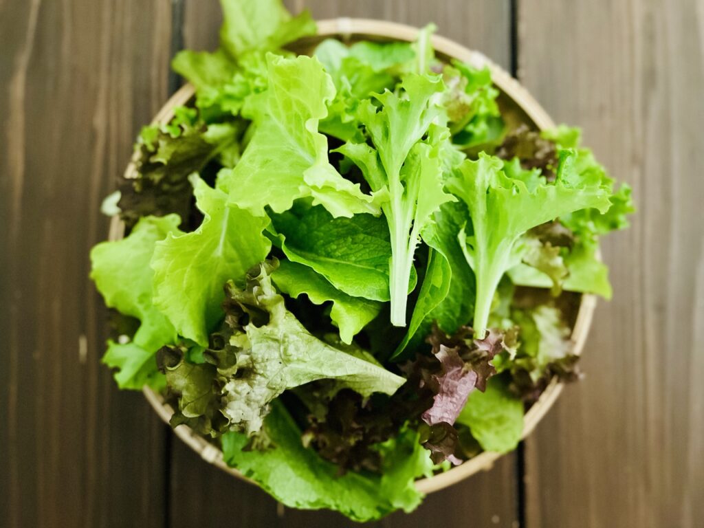 リーフレタス